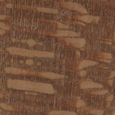 Leopard Wood sample