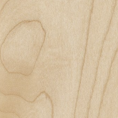 Maple wood sample