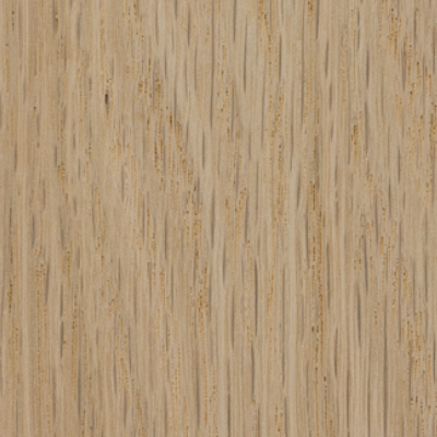 Oak wood sample